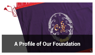 A Profile of Our Foundation
